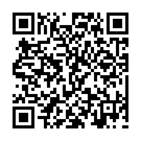 QR code for ZTB994
