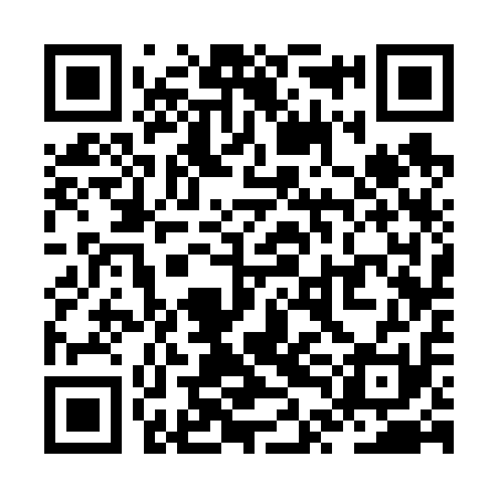 QR code for ZTC611