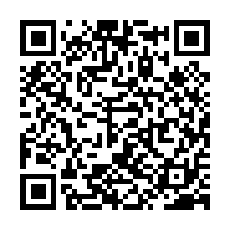 QR code for ZTE011