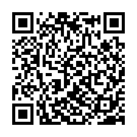 QR code for ZTG311