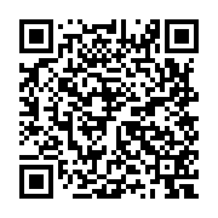 QR code for ZTG951