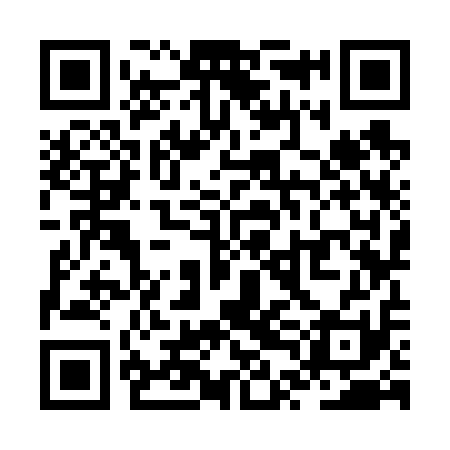 QR code for ZTK611