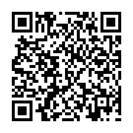 QR code for ZTM381