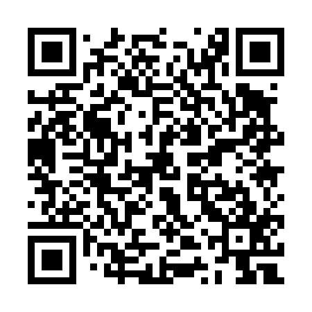 QR code for ZTQ417