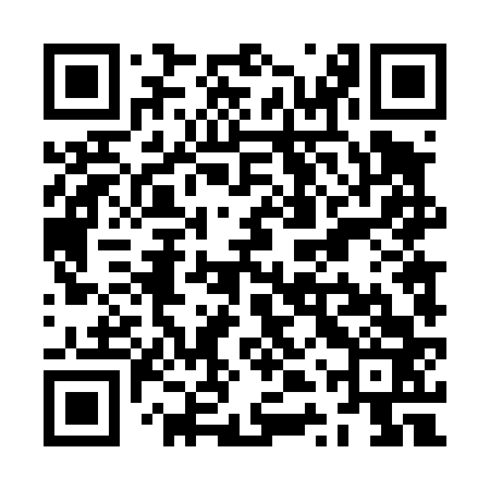 QR code for ZTT463