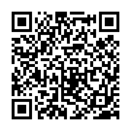 QR code for ZTV413