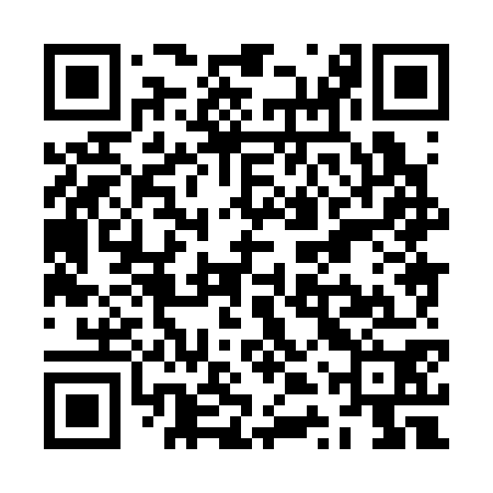 QR code for ZTX370