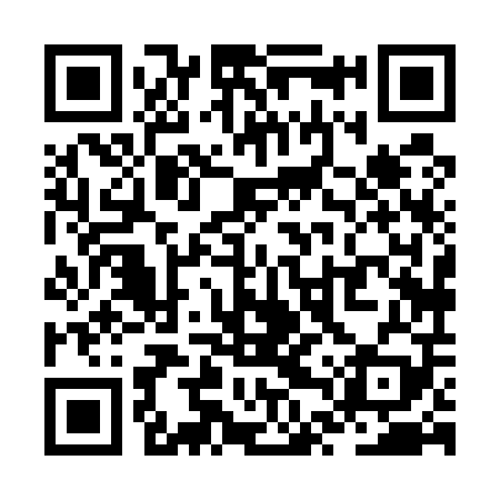 QR code for ZTX509