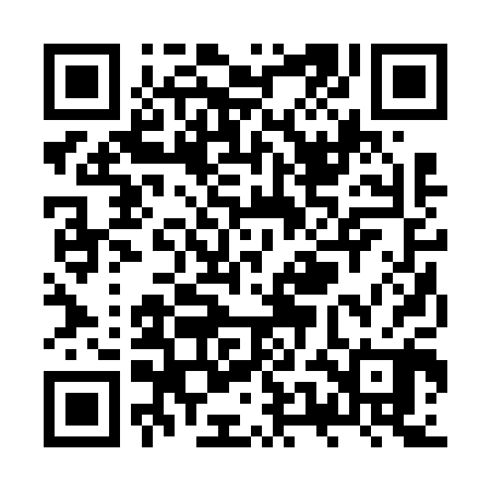 QR code for ZUB600