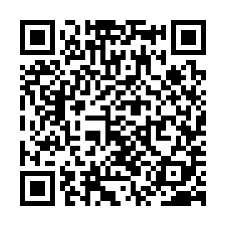 QR code for ZUG389