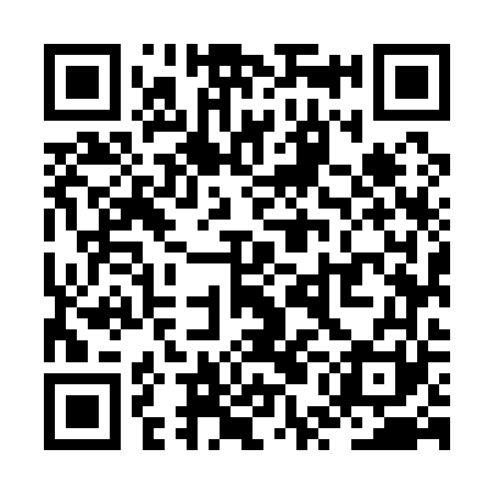 QR code for ZUM161