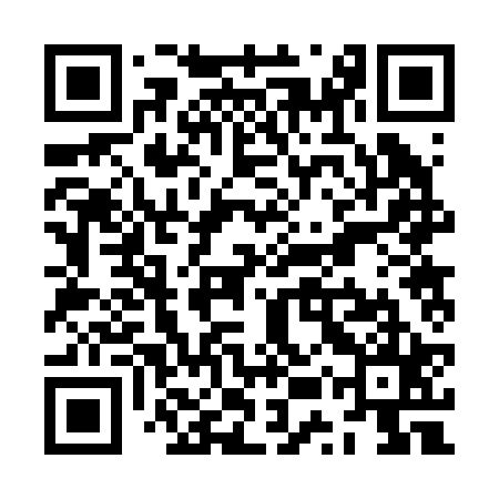 QR code for ZUR225