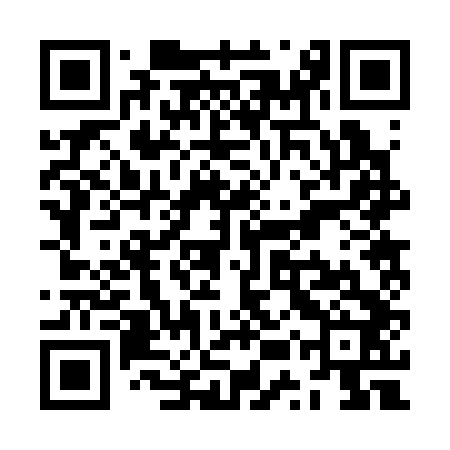 QR code for ZUR342
