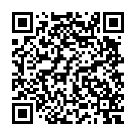 QR code for ZUR417