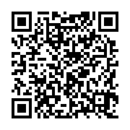 QR code for ZUX385