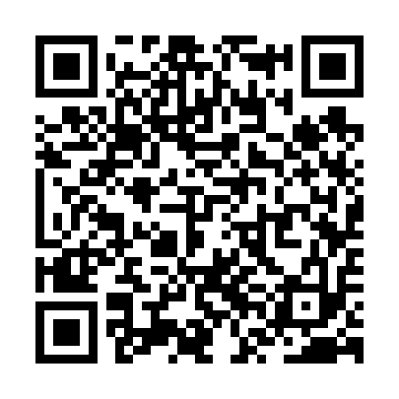 QR code for ZVC613