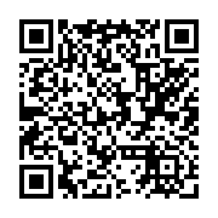 QR code for ZVI213