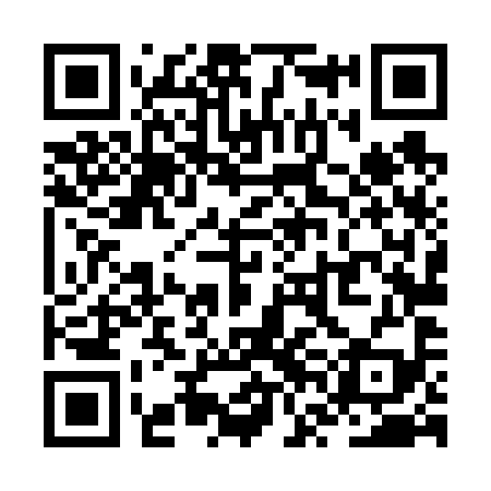 QR code for ZVL699