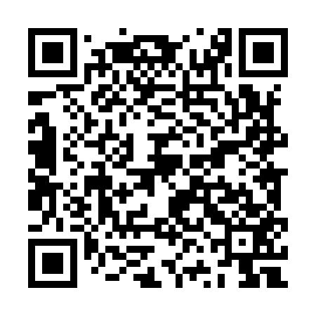 QR code for ZVL953
