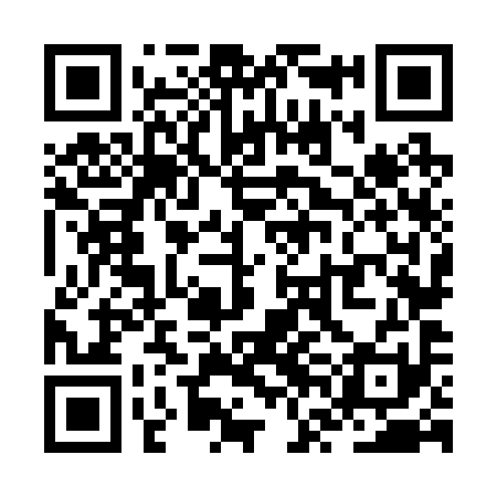 QR code for ZVN291