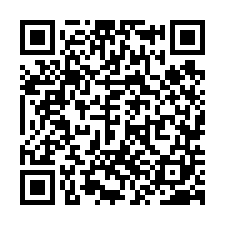 QR code for ZVN641