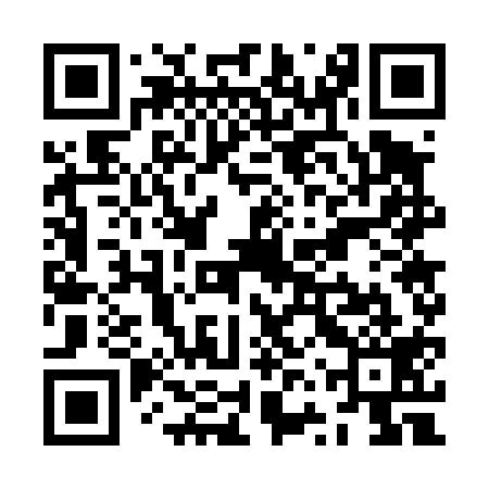 QR code for ZVW419