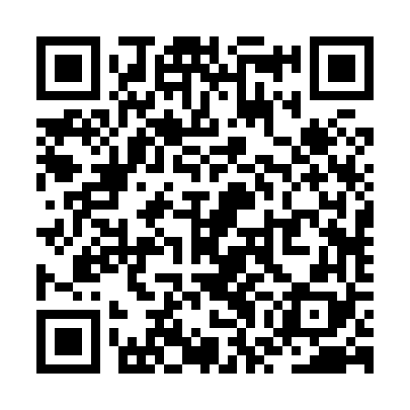 QR code for ZWB868