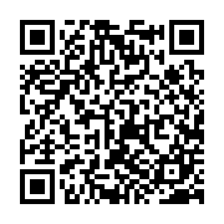 QR code for ZXD307