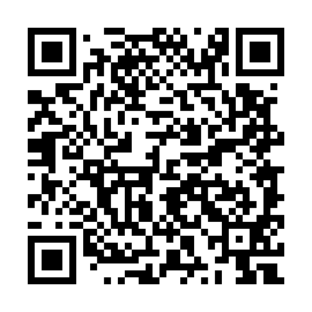 QR code for ZXD591