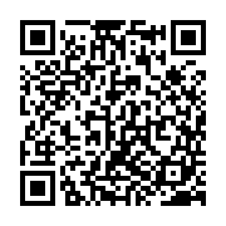 QR code for ZXI941