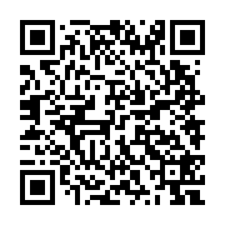 QR code for ZXN728