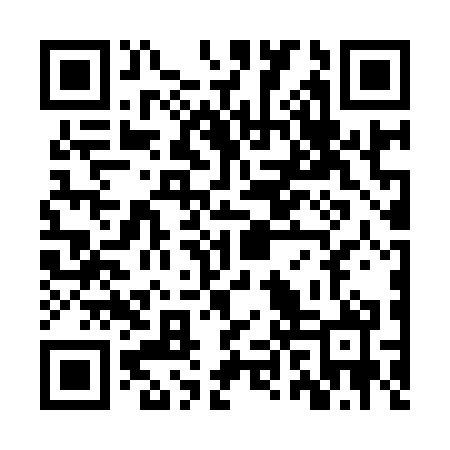 QR code for ZXV970