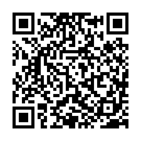 QR code for ZXX290