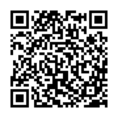 QR code for ZXX347