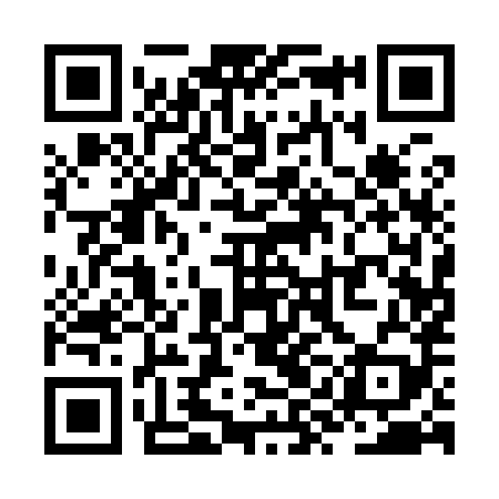 QR code for ZYA989