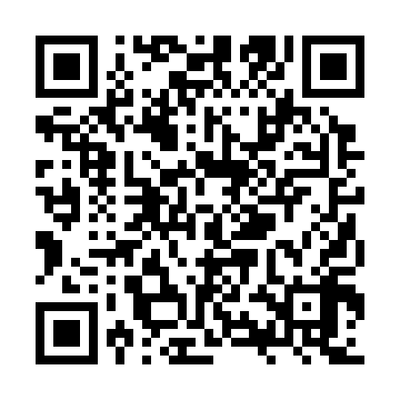 QR code for ZYB318