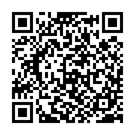 QR code for ZYB507