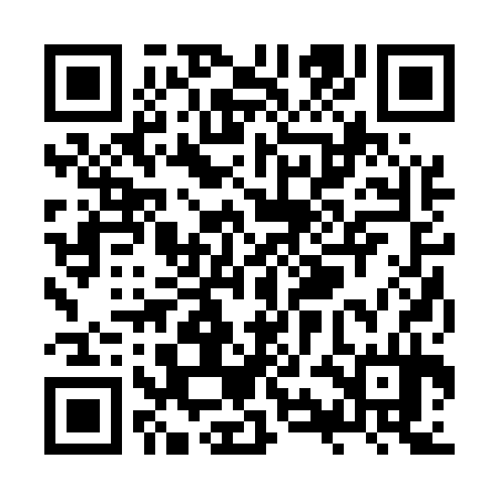 QR code for ZYB534