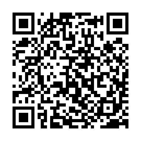 QR code for ZYB590