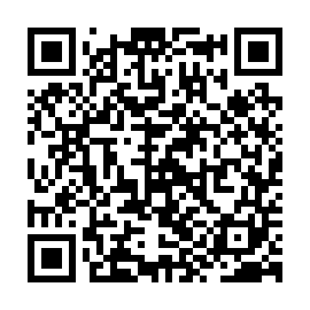 QR code for ZYG241