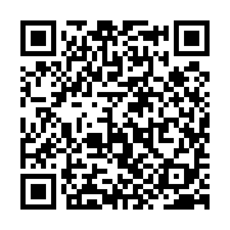 QR code for ZYI599