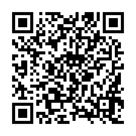 QR code for ZYI996