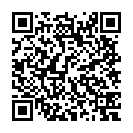 QR code for ZYJ538