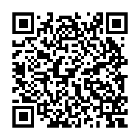 QR code for ZYL216