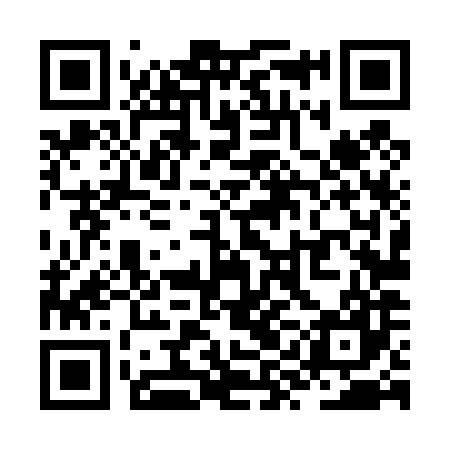 QR code for ZYL487