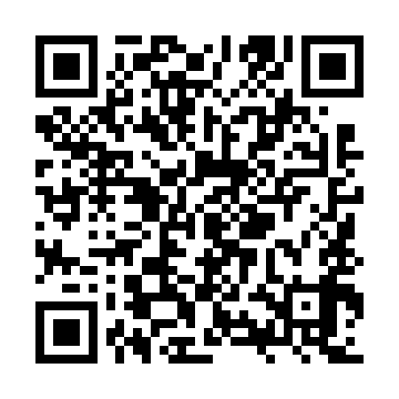 QR code for ZYL699