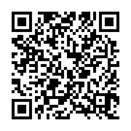 QR code for ZYN300