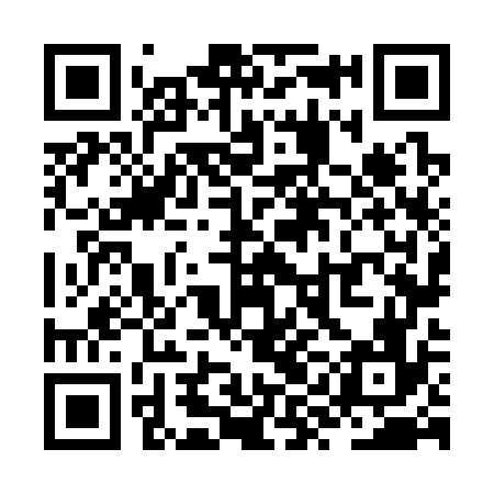 QR code for ZYN376