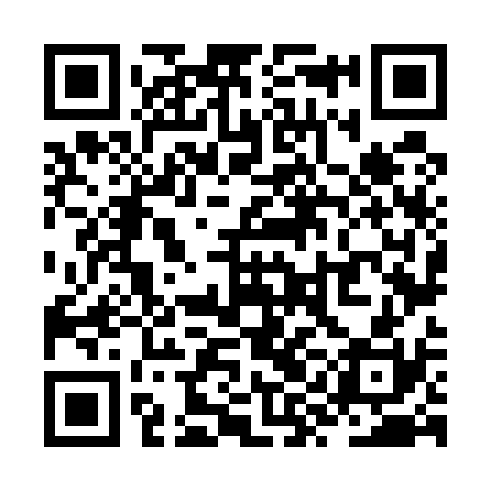 QR code for ZYN530