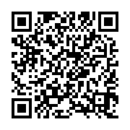 QR code for ZYN811